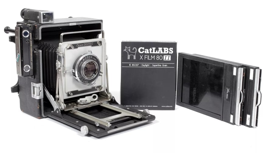 New Arrivals | CatLABS